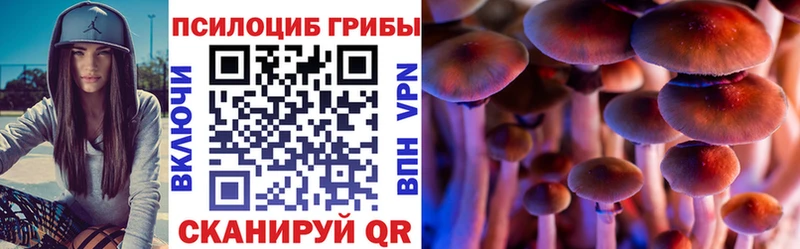 Псилоцибиновые грибы MAGIC MUSHROOMS  мега как зайти  Новосокольники 